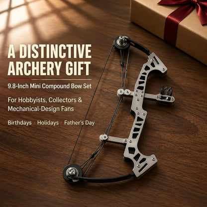 Mini Compound Bow Set, Metal Archery Training Bow with 10 Practice Arrows, Dual-Cam Design, Target Paper, Replacement Bowstring and Hex Wrench, Recreational Target Practice Kit